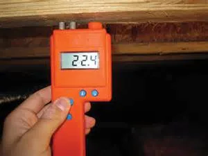 High Humidity, Low Floors: Why Your Hampton Roads Subfloor is at Risk