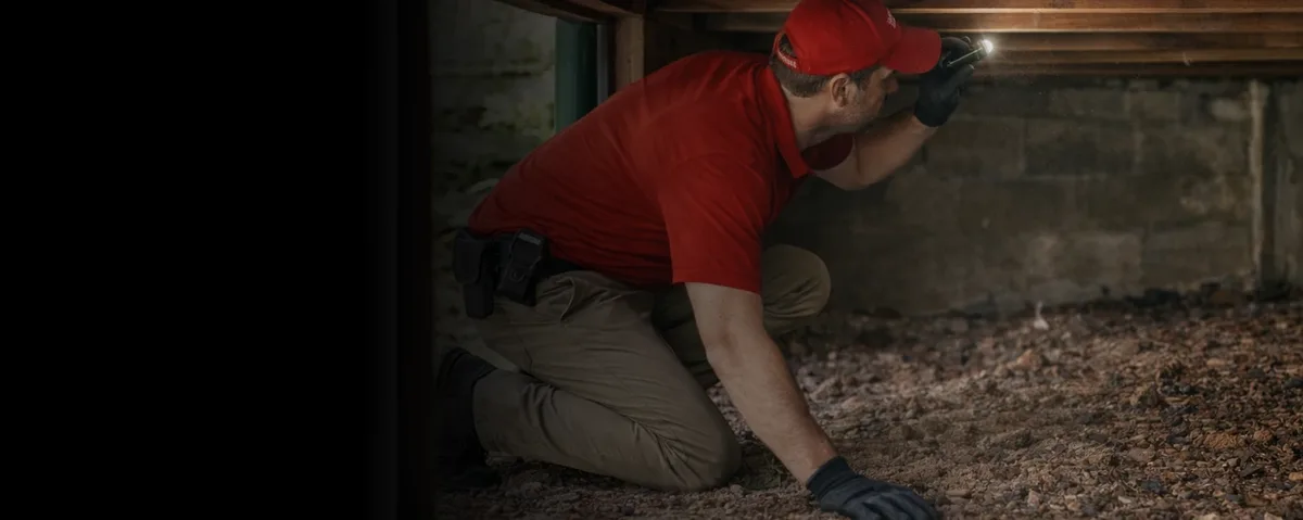Universal Pest & Termite inspector completing a wood-destroying insect report at a Virginia Beach home ahead of a real estate closing.