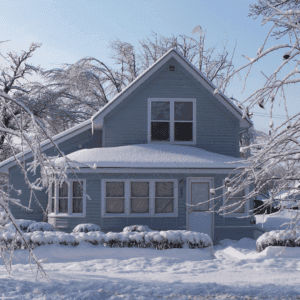Pest Control Tips For Winters 