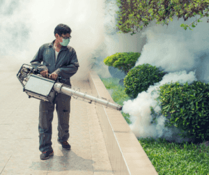 Is It Worth Paying for Pest Control?