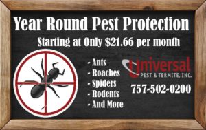 Ant Pest Control Service Home Pest Control