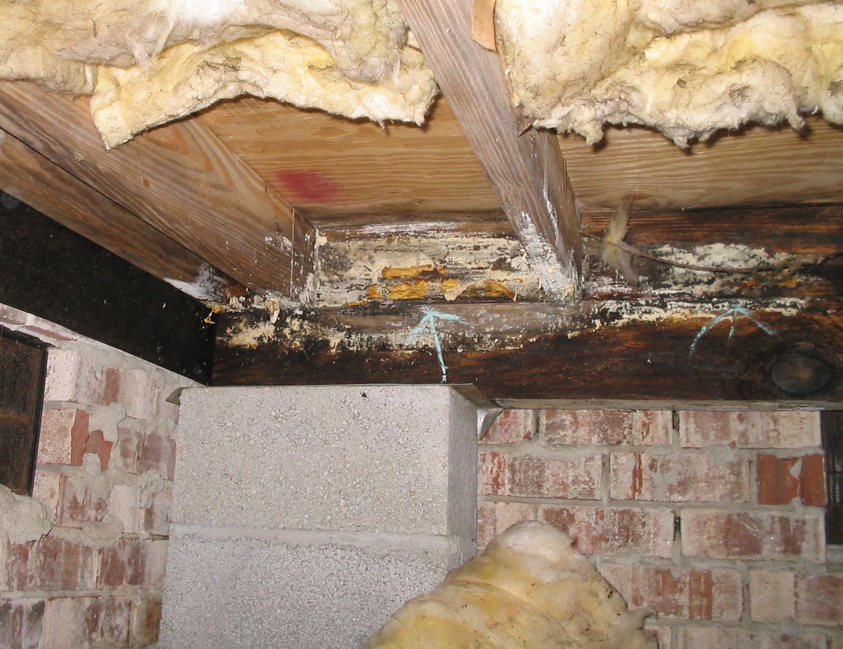 Moisture Issues Under my Home 